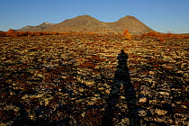 Long shadow of person, Forollhogna National Park, Norway, September 2008