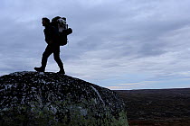 Photographer, Vincent Munier, walking over large rock, Forollhogna National Park, Norway, September 2008