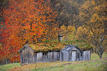 Wood Hut with grass roof, Forollhogna National Park, Norway, September 2008