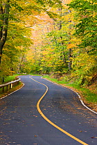 The road up Mount Greylock, the highest point in Massachusetts. Mount Greylock State Reservation. Massachusetts, USA. October 2009