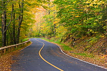 The road up Mount Greylock, the highest point in Massachusetts. Mount Greylock State Reservation. Massachusetts, USA. October 2009