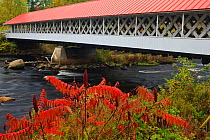 Ashuelot Covered bridge in autumn / fall. It spans the Ashuelot River (Built in 1864, and is 159-feet in length) Ashuelot, New Hampshire, USA. October 2009