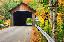 View through the Coombs Covered bridge in autumn / fall. It spans the Ashuelot River (118 feet in length) Winchester, New Hampshire, USA. October 2009