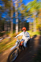 A man riding his motorbike through the forest, Jericho Mountain State Park, White Mountains, Berlin, New Hampshire, USA. September 2009