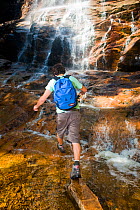A man hiking at Arethusa Falls, Crawford Notch State Park, White Mountains, New Hampshire, USA. August 2009