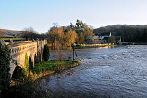 River Avon in spate flowing under Bathampton Toll bridge, over weir and past Bathampton Mill pub, near Bath, Somerset, UK. November 2009