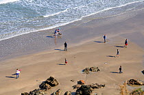 Overview of a family walking on a sandy beach and throwing a ball for a dog (Canis familiaris). Cornwall, UK. Model released, April 2009