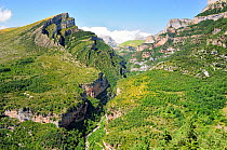 Anisclo Canyon, Bellos river and eroded karst limestone Mondoto peak, Ordesa and Monte Perdido National Park, Huesca, Aragon, Spain. July 2009