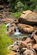 Tourists canyoning down Rio Aragon Subordan through the Boca del Infierno (Hell's Mouth) gorge, Hecho valley, Spanish Pyrenees. Huesca, Aragon, Spain. July 2009