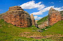 Salto de Roldan conglomerate rock pillars - a nesting site for Griffon vultures (Gyps fulvus). Huesca, Aragon, Spain. July 2009
