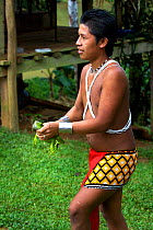 A young Embra Indian boy holding an Iguana, Soberania NP, rainforest, Panama, November 2008