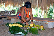 Embra Indian woman preparing pineapple slices for a traditional feast, Soberania NP, rainforest, Panama, November 2008