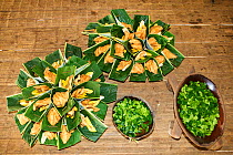 Traditional food of the Embra Indians, Soberania NP, rainforest, Panama, November 2008