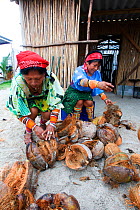 Kuna Indian women husking coconuts on the island of Wichub-Wala, San Blas islands, Panama, November 2008
