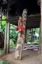 Young wounaan indian boy climbing down from his hut on traditional stairs cut in wood, Panama, November 2008