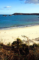 Great Bay, St. Martin's, Isles of Scilly. December 2009.