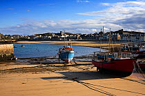 Fishing boats on sand at low water. Town Beach, Hugh Town, St. Mary's, Isles of Scilly. January 2010. Hugh Town is located on a sandy isthmus and is likely to be threatened by sea level rise in the fu...
