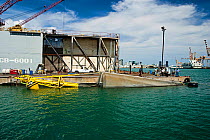 Large wave-energy buoy, partially submerged, in Honolulu Harbour before being towed to Kaneoho Bay, Oahu, Hawaii. The 40-kW experimental buoy employs the bobbing motion of the buoy to drive an electri...
