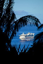 Norwegian Cruise Line's "The Golden Princess" anchored off Lahaina, viewed through palms. Maui, Hawaii.