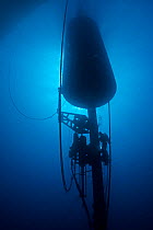 Diver working on a large wave-energy buoy off Kaneoho Bay, Oahu. The 40-kW experimental buoy employs the bobbing motion of the buoy to drive an electrical generator, that sends power to the island via...