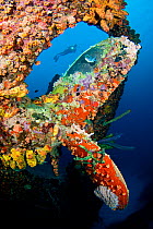 Diver swimming behind the propeller of the wreck of the Hilma Hooker, a 236 foot long cargo vessel that sunk in 1984 off the island of Bonaire in the Caribbean.