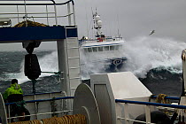 Fishing vessel "Ocean Harvest" seen from aboard pair trawler. North Sea, February 2010, Property released.