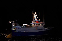 Fishing vessel "Harvester" with a good haul of Saithe (Pollachius virens) in the net at night, North Sea, February 2010. Property released.