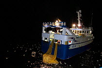 Fishing vessel "Harvester" taking a good haul of Saithe (Pollachius virens) aboard, at night on the North Sea, 60 miles North East of the Shetlands. February 2010, Property released.