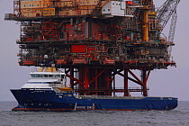 Oil rig supply vessel "Strilmoy" at the "Beryl bravo" platform, North Sea, March 2010.