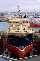 75m Danish Trawler "Gitte Henning" undergoing repairs in dry dock, Skagen, Denmark. March 2010.