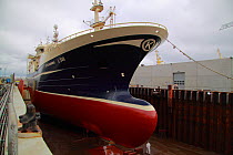 Danish fishing vessel "Gitte Henning" in dry dock, Skagen, Denmark. March 2010.