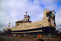 Fishing vessel "Gitte Henning" in dry dock, Denmark, March 2010.