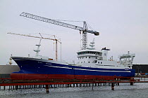 Irish fishing vessel "Voyager" under construction at Karstensens shipyard in Skagen, Denmark. March 2010.