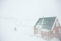 Bringing home groceries during blizzard, Village of Ittoqqortoormiit, Scoresbysund, North East Greenland. March 2009.