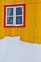 Two ladies looking through their window. (Mayor Asi Chemnitz and her secretary Anna of Nuuk Commune) This is the second largest Commune of the world.  Ittoqqortoormiit. Scoresbysund, North East Greenl...