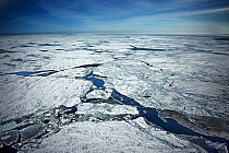Aerial view of the pack / sea ice, breaking up and melting. Iles de la Madeleine, Magdalen Island, St. Lawrence, Canadian Arctic. March 2008.