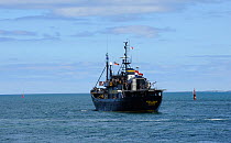 The Sea Shepherd ship 'Steve Irwin' leaving Freemantle Harbour, Perth, Western Australia, on a voyage to the Antarctic to intercept Japanese whaling ships. December 2009