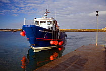 Passenger Ferry "Voyager of St. Martin's" arriving at Lower Town Quay in the early morning. St. Martin's, Isles of Scilly, UK