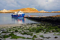 Passenger Ferry "Voyager of St. Martin's" arriving at Lower Town Quay in the early morning. St. Martin's, Isles of Scilly, UK, September.