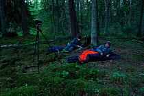 Campers within sleeping bags, boreal forest at dusk, Estonia, Spring.