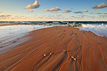 Retreating tide on beach, Baltic sea, Estonia,