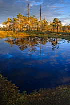 Reflections and dark rain clouds over wetland pools, Estonia