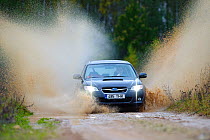 Four wheel drive car driving along wet road, spraying muddy water, Subaru legacy, Estonia