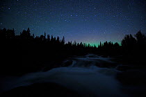 Starlit sky, and Northern lights, over White Water, river, Sarek National Park, Sweden, Scandinavia