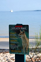 Sign warning visitors of the danger Dingo may cause. Western beach of Fraser Island, Queensland, Australia