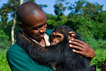 Rescued juvenile chimpanzee (Pan troglodytes) held by Fred Nizeyimana (Veterinarian) Ngamba Island Chimpanzee Sanctuary, Uganda, Africa. Captive, June 2009. model released