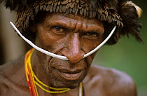 Head portrait of Dani man, with head-dress and nose adornment made of bone, Baliem valley, West Papua, former Irian-Jaya, Indonesia, August 2002