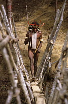 Dani hunter with adornment crossing wooden bridge, Baliem valley, West Papua, former Irian-Jaya, Indonesia, August 2002 (West Papua).