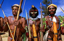 Portrait of Lani hunters with painted faces, head-dressed, nose adornment and penis case / gourd, Baliem valley, West Papua, former Irian-Jaya, Indonesia, August 2002