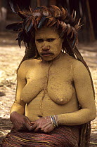 Portrait of Dani woman, her body covered with clay as a sign of mourning. Wamena, Baliem valley, West Papua, former Irian-Jaya, Indonesia, August 2002 (West Papua).